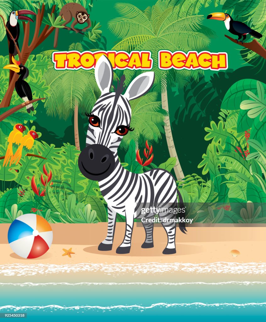 Tropical Beach and Zebra