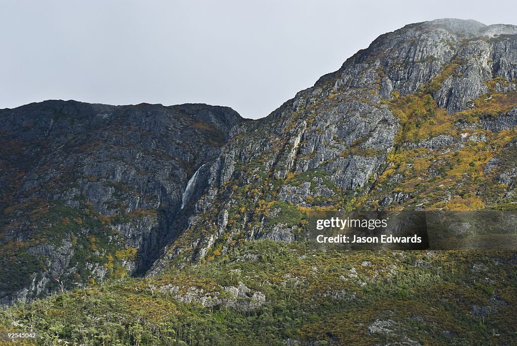 Cradle Plateau, Cradle Mountain Lake St Clair National Park, Tasmania, Australia.