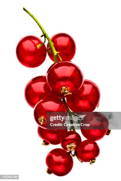 bunch of red currants - rode bes stockfoto's en -beelden