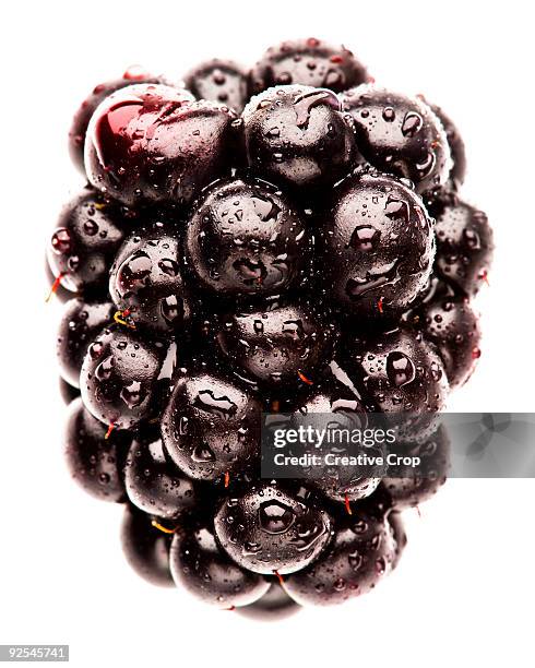 fresh black berry with water droplets - bramen stockfoto's en -beelden