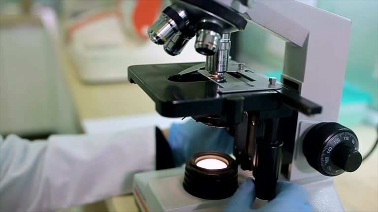 Science Microscope Video 124 Penicillin Microscope Stock Videos, Footage, & 4K Video Clips ...