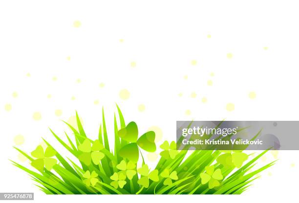 grass - clover stock illustrations