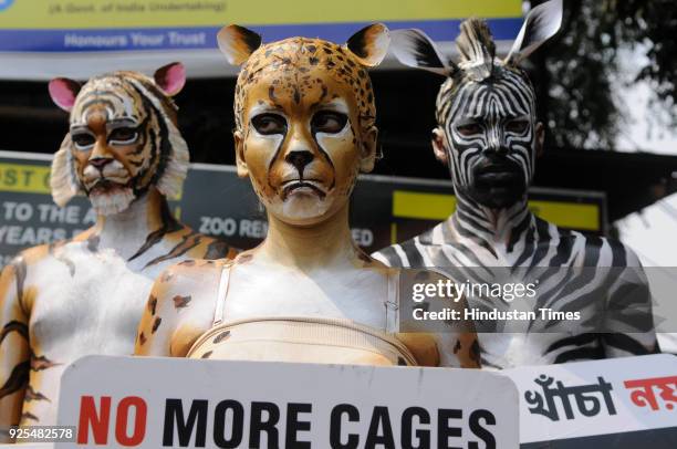 Members of People for the Ethical Treatment of Animals bodypaints themselves as Tiger, Cheetah and Zebra and carrying placards proclaimed 'No More...