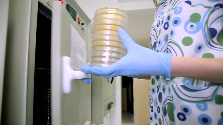 Lab Samples Packing 558 Sample Packs Stock Videos, Footage, & 4K Video Clips - Getty Images