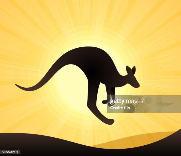 stockillustraties, clipart, cartoons en iconen met kangoeroe - wallaby