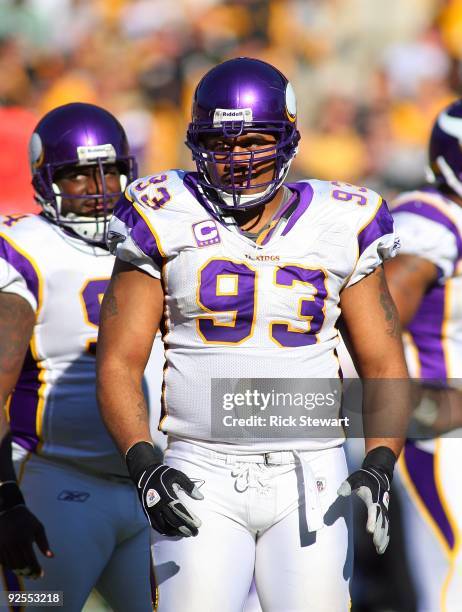 Kevin Williams of the Minnesota Vikings looks on during the NFL game against the Pittsburgh Steelers at Heinz Field on October 25, 2009 in...