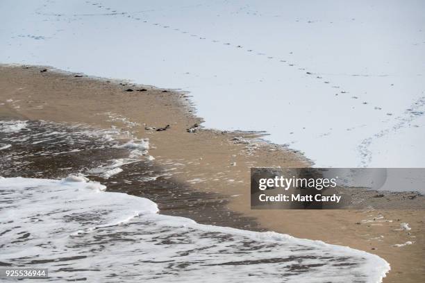 People walk on the snow covering the sand at Carbis Bay as snow arrives in St Ives on February 28, 2018 in Cornwall, England. Freezing weather...