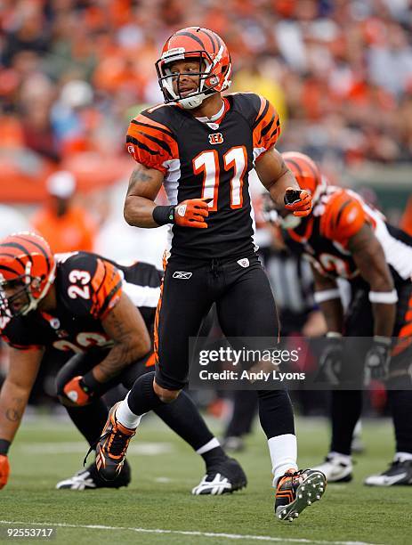 Laveranues Coles of the Cincinnati Bengals is pictured during the NFL game against the Chicago Bears at Paul Brown Stadium on October 25, 2009 in...