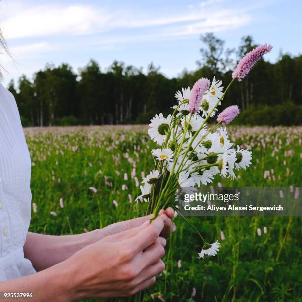 hands of woman picking wildflowers - só uma mulher de idade mediana - fotografias e filmes do acervo