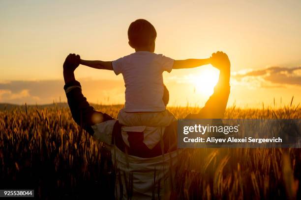 father carrying son on shoulders in field of wheat at sunset - auf den schultern stock-fotos und bilder