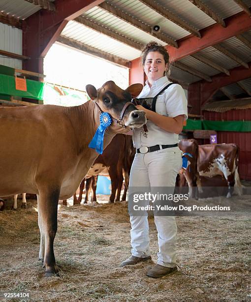 county fair blue ribbon winner - livestock show fotografías e imágenes de stock