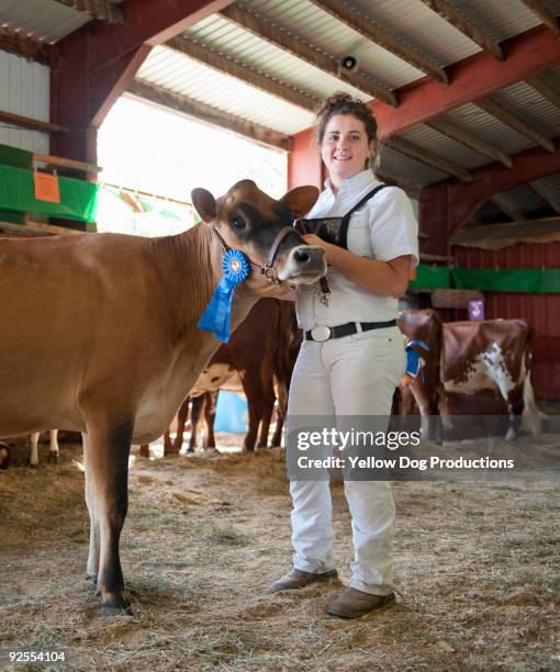 county fair blue ribbon winner - livestock show stock pictures, royalty-free photos & images