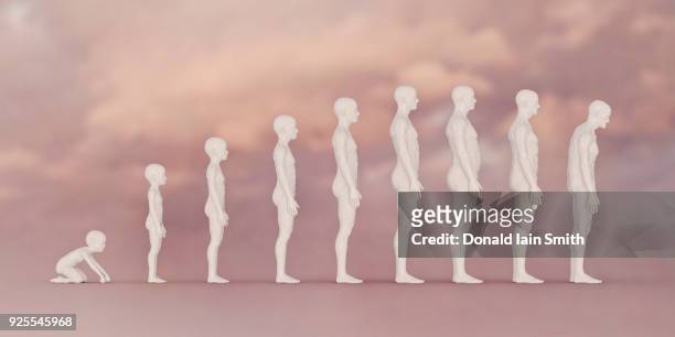 stages of life from boy to man - human evolution stock pictures, royalty-free photos & images