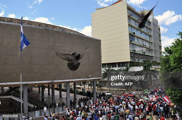 Doves fly over supporters of ousted Honduran President Manuel Zelaya gathered outside the National Congress in Tegucigalpa, on October 30, 2009....