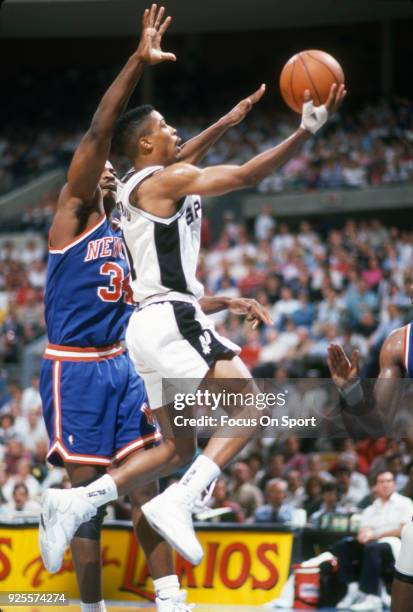 Rod Basketball 1,074 Rod Strickland Photos & High Res Pictures - Getty Images