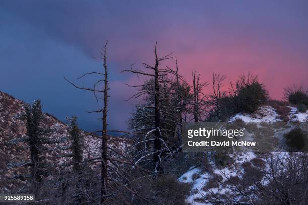 Much-needed late winter storm brings snow to the San Gabriel Mountains on February 27, 2018 in the Angeles National Forest near Los Angeles,...
