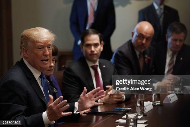 President Donald Trump speaks as Sen. Dianne Feinstein , Sen. Marco Rubio Rep. Ted Deutch and Sen. Steven Daines listen during a meeting with...