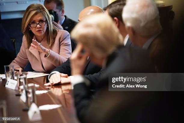 Rep. Marsha Blackburn speaks as President Donald Trump meets with bipartisan members of the Congress at the Cabinet Room of the White House February...