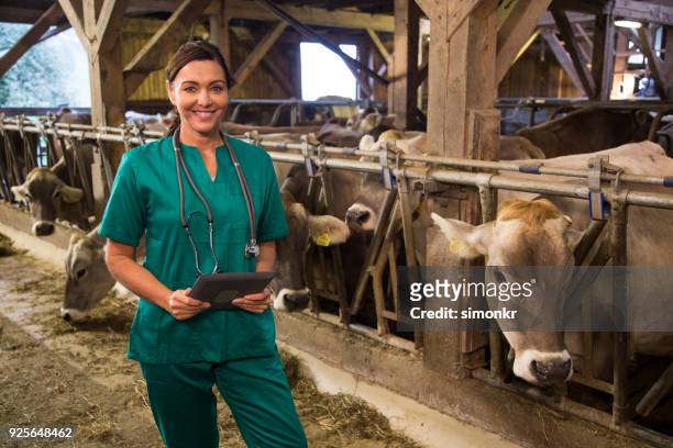 woman holding digital tablet - female animal stock pictures, royalty-free photos & images