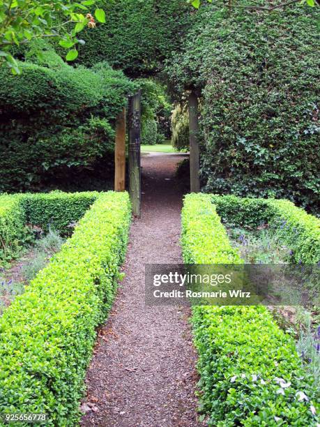 formal garden with symmetrically cut hedges. - buxus stockfoto's en -beelden