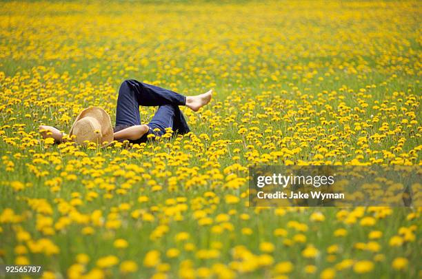 woman lying in field of flowers - primavera fotografías e imágenes de stock