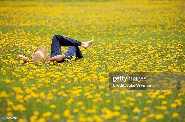 woman lying in field of flowers - primavera estação do ano - fotografias e filmes do acervo