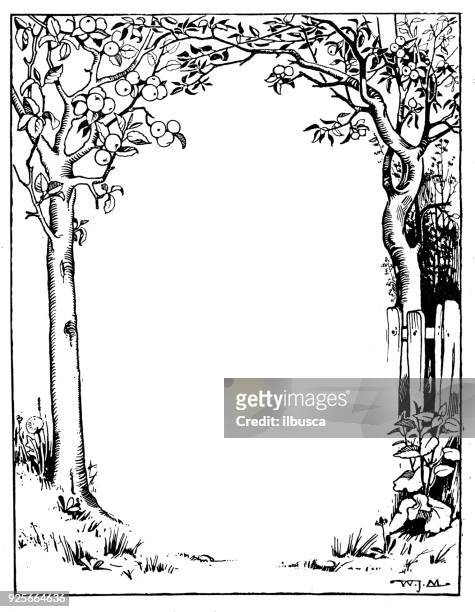 antique children book illustrations: tree frame - allegory painting stock illustrations