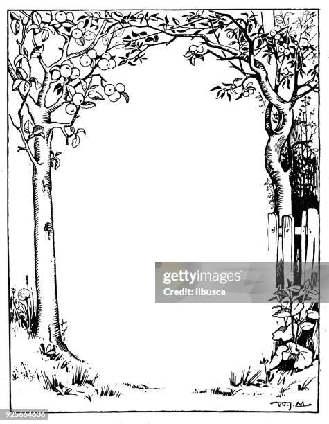 antique children book illustrations: tree frame - classic storybook frame stock illustrations