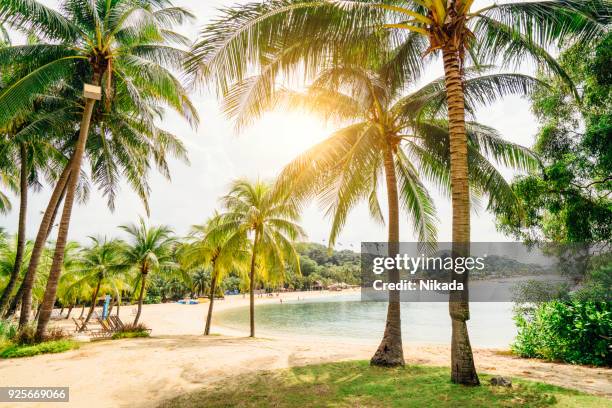 sentosa island beach, singapur - sentosa island stock-fotos und bilder