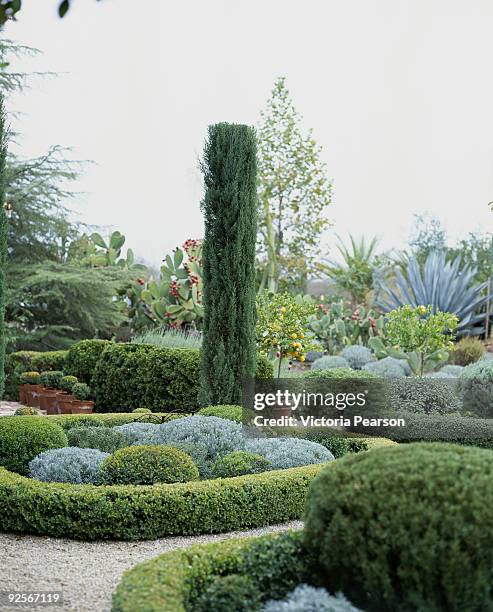 contemporary parterre - glaucos stock pictures, royalty-free photos & images