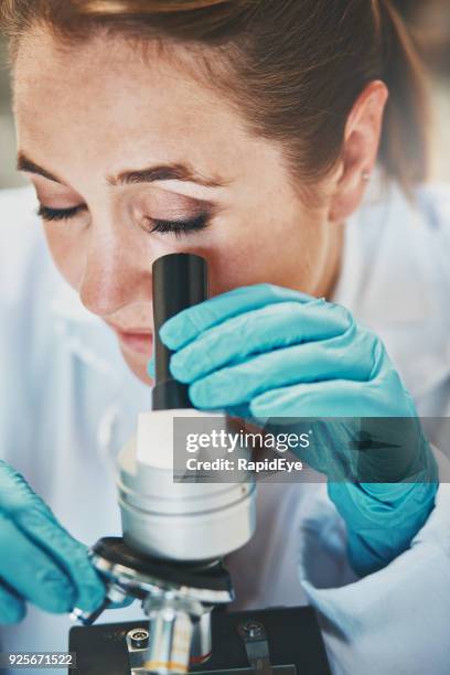 151 Medical Person Eye In Microscope Adult Lab Stock Photos, High-Res ...