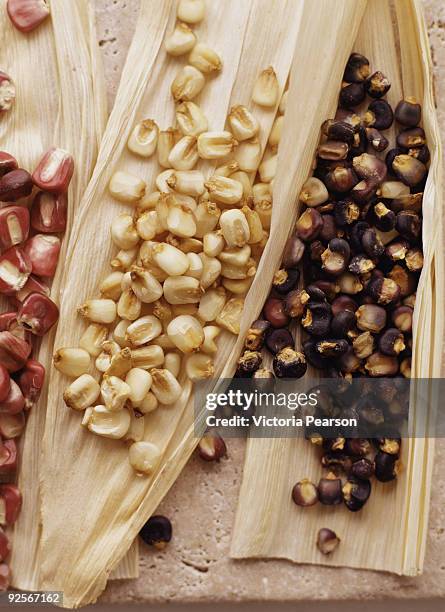 corn kernel assortment - chicco di mais foto e immagini stock