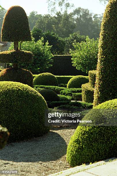 topiary garden - topiary 個照片及圖片檔