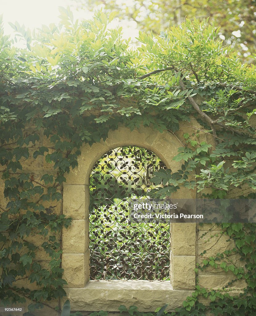 Ironwork window in stone wall with vines