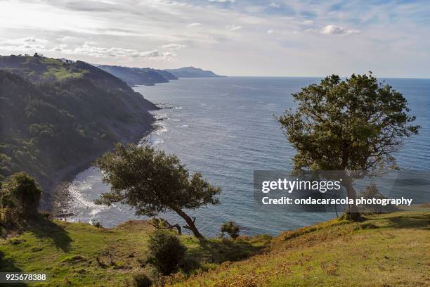 flysch geologic coast - zumaia imagens e fotografias de stock