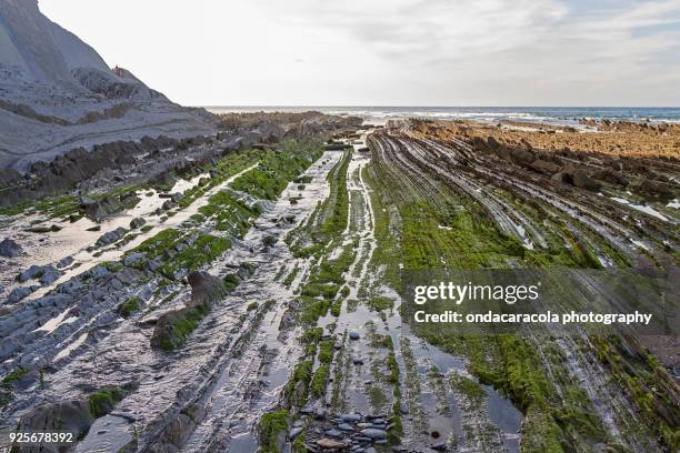 Flysche 202 Geologic Layers Stock Photos, High-Res Pictures, and Images - Getty ...
