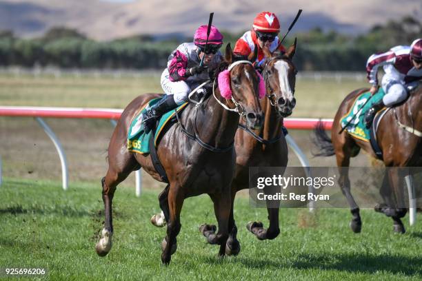 Peg Legs Photos and Premium High Res Pictures - Getty Images