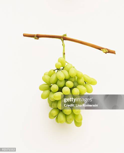 thompson seedless grapes - witte druif stockfoto's en -beelden