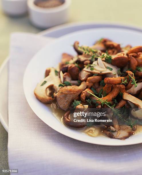 mushroom entree - sauteren stockfoto's en -beelden