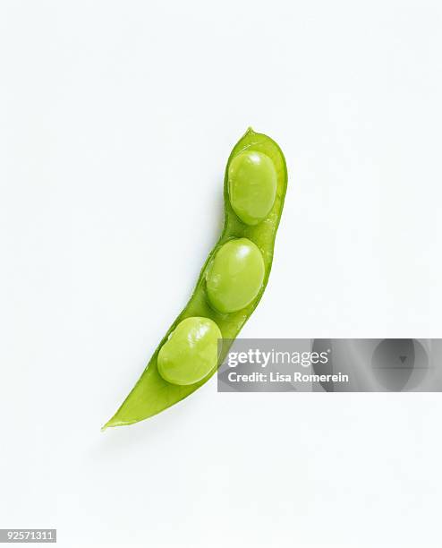 edamame in pod - glycine bildbanksfoton och bilder