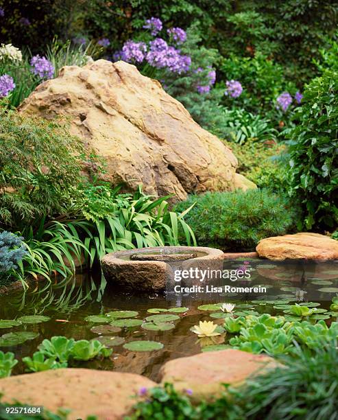 lily pond - fountain stock pictures, royalty-free photos & images