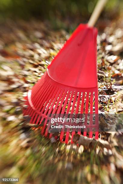 264 Fork Rake Stock Photos, High-Res Pictures, and Images - Getty Images