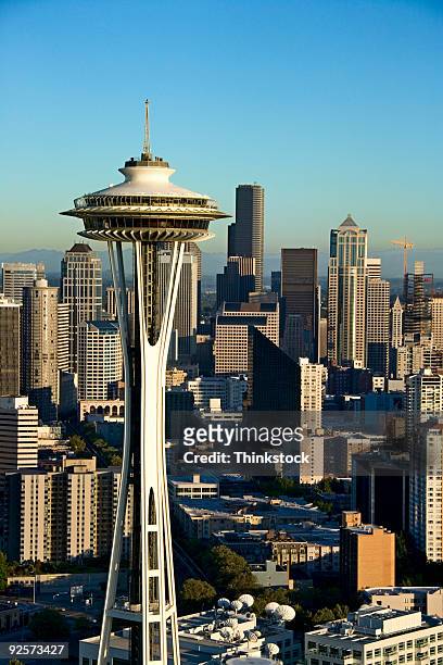 space needle and downtown seattle - space needle stock pictures, royalty-free photos & images