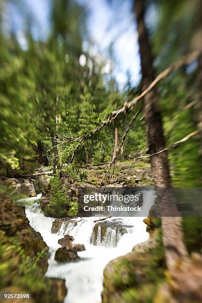 river and waterfall in forest - thinkstock fotografías e imágenes de stock