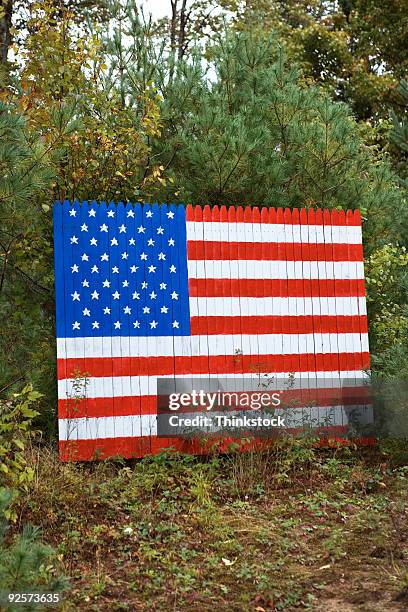 american flag in forest - thinkstock 個照片及圖片檔