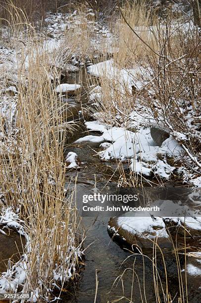 winter stream - black dragon pool park stockfoto's en -beelden