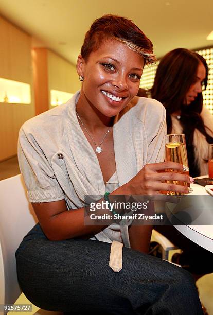 Eva Marcille attends a celebration at the Moet Hennessy USA building on October 30, 2009 in New York City.