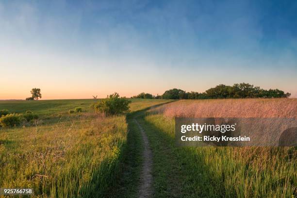 sunset on prairie - prateria zona erbosa foto e immagini stock