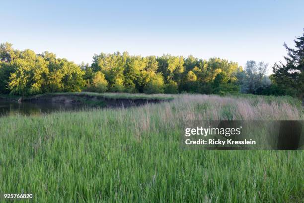 grass, river, and forest - sioux falls stock pictures, royalty-free photos & images