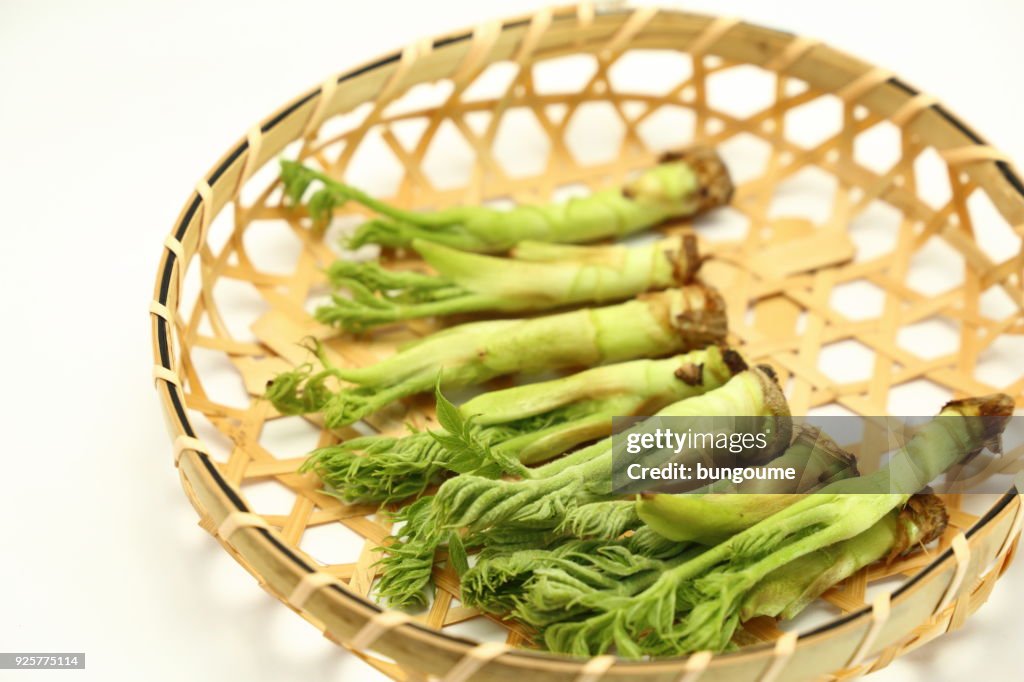 Wild vegetables, cod bud,Bud of cod